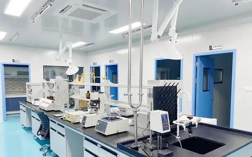 科技中介服务 创新生态中的桥梁与催化剂